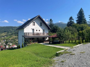 Casa Viorica